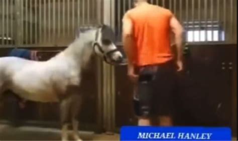 man and horse viral video twitter|horse video twitter reddit.